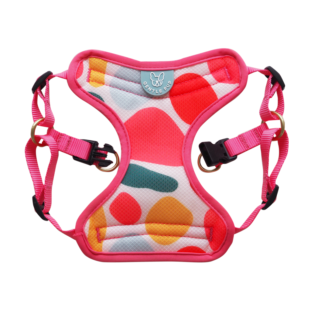 Easy Harness - Candy Callie