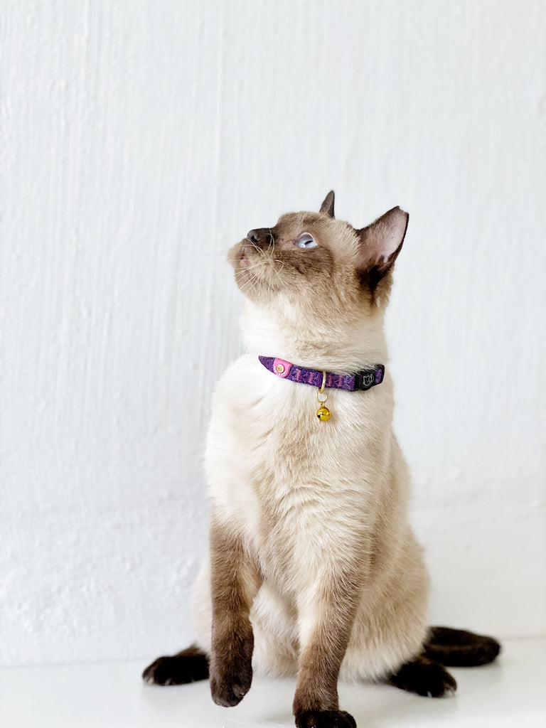 Cat Collar - Piper Pink