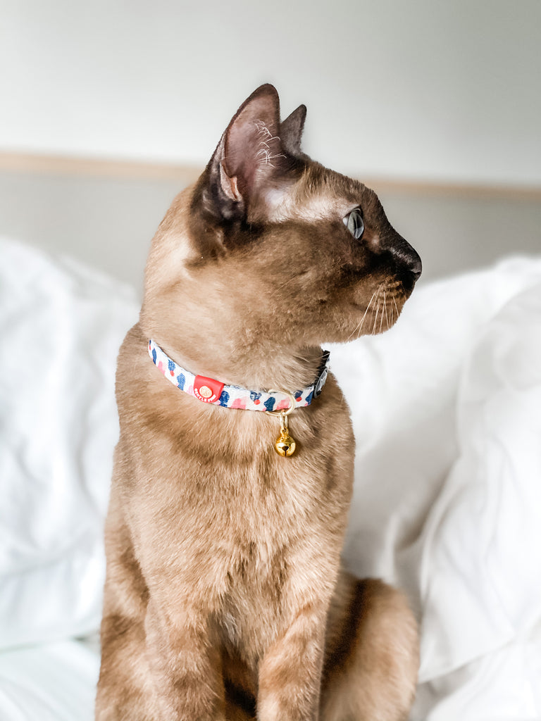 Cat Collar - Lovely Leia