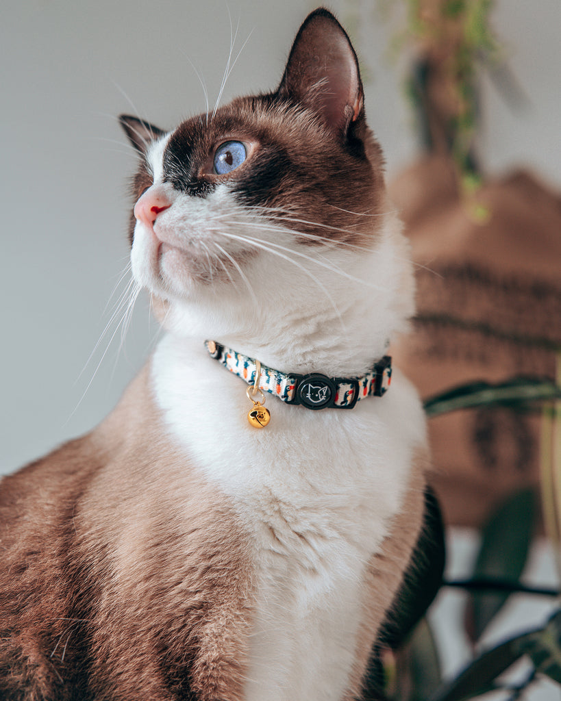 Cat Collar - Aloha Alice