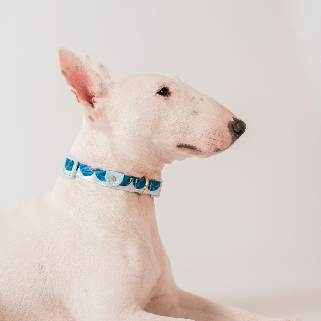 Ohpopdog x Gentle Pup Collar V2 - Sea Salt Latte