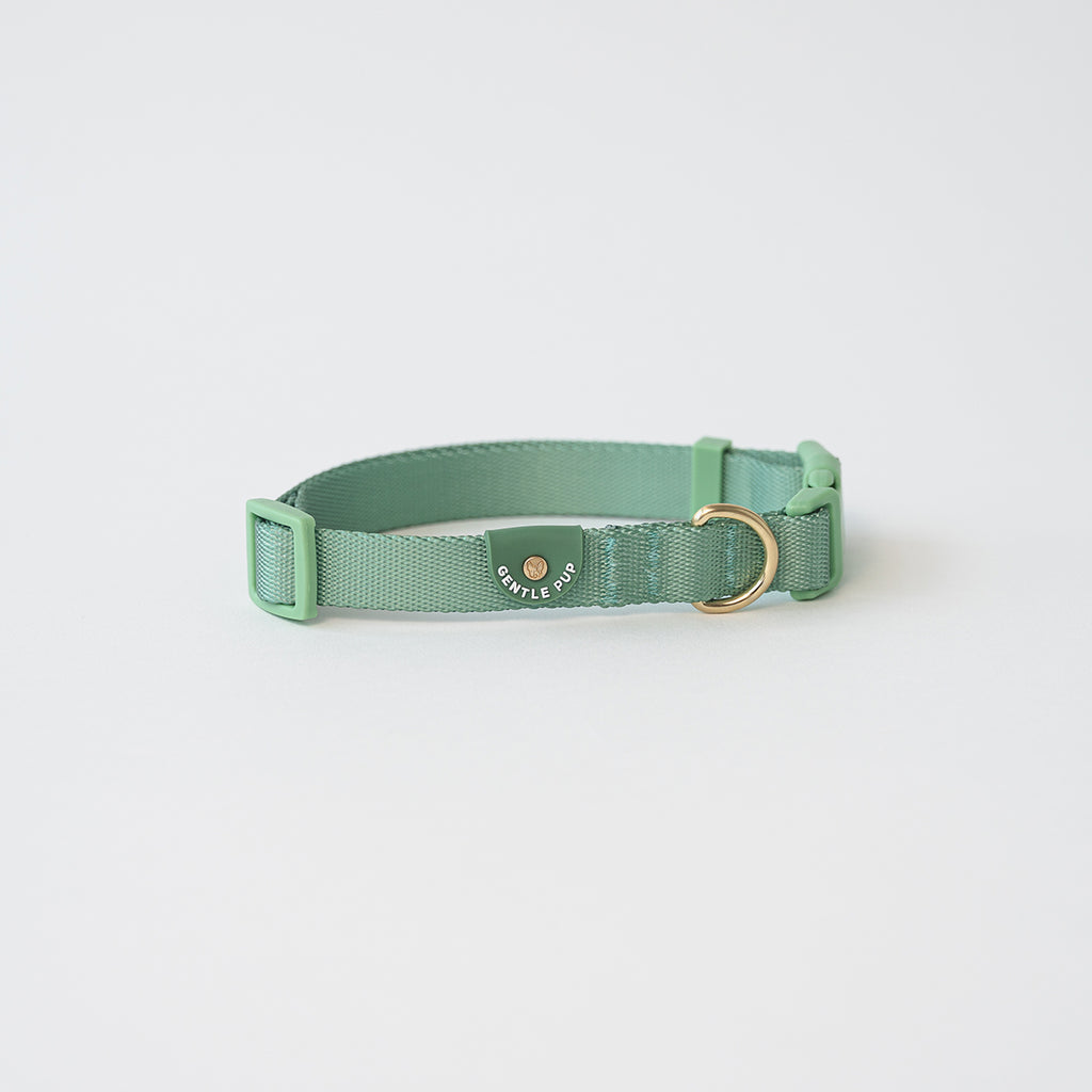 Collar V2 - Emerald