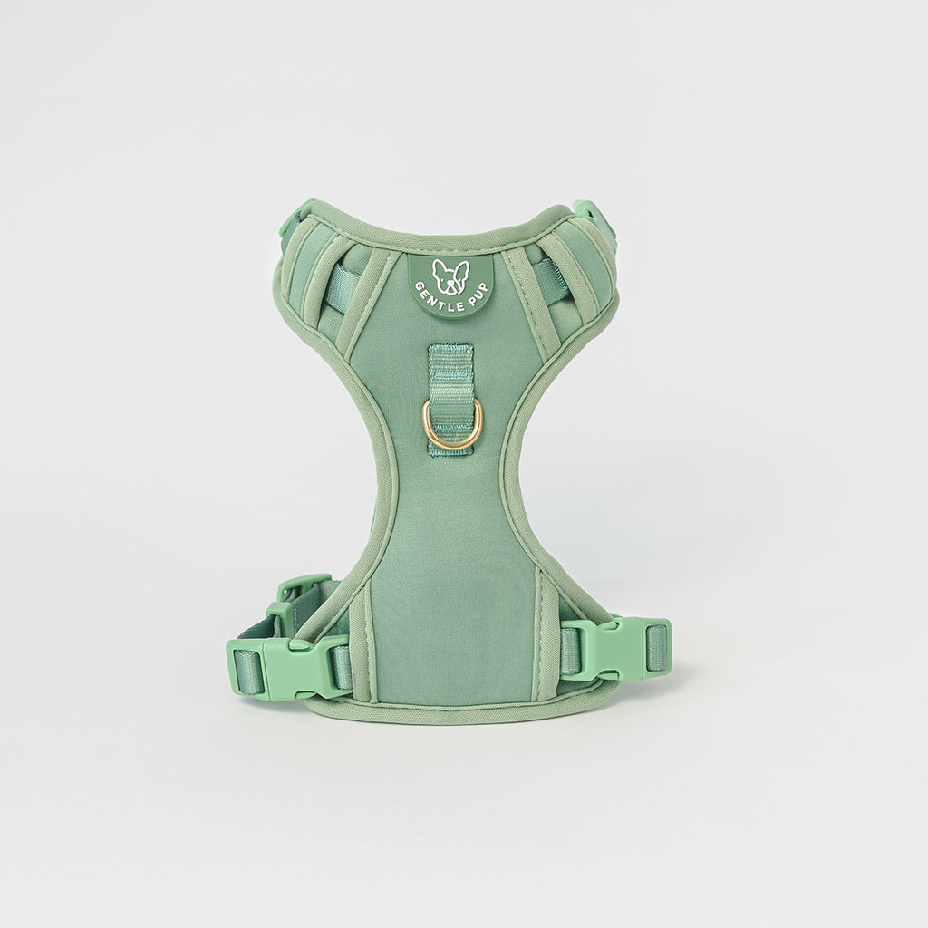 Easy Harness V2 - Emerald