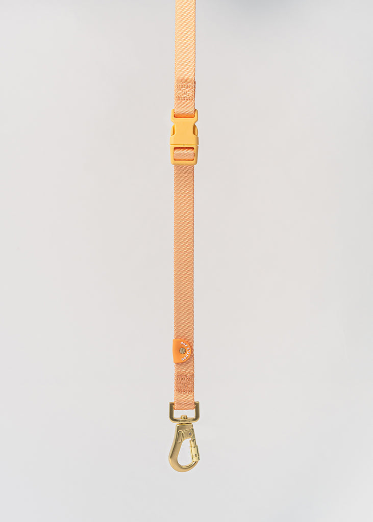 Hands-free Leash - Tangerine