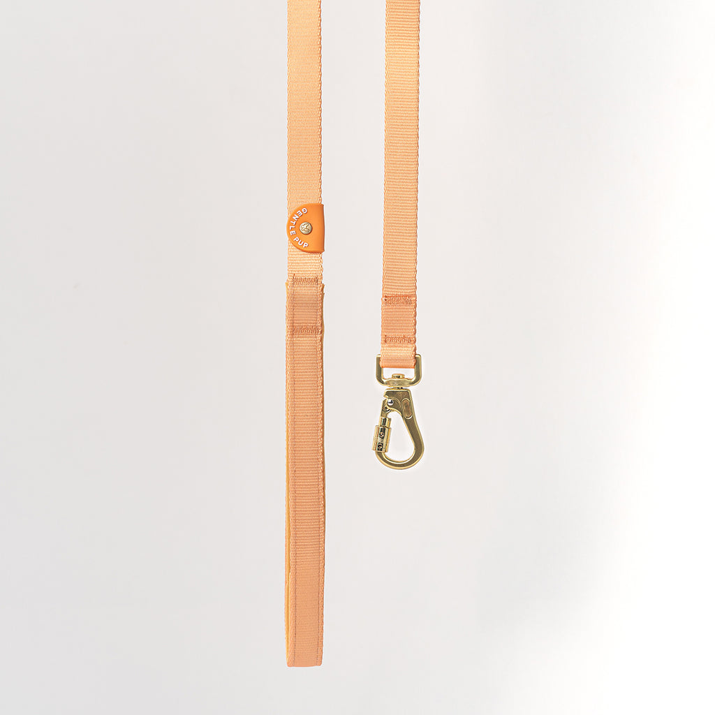 Leash V2 - Tangerine