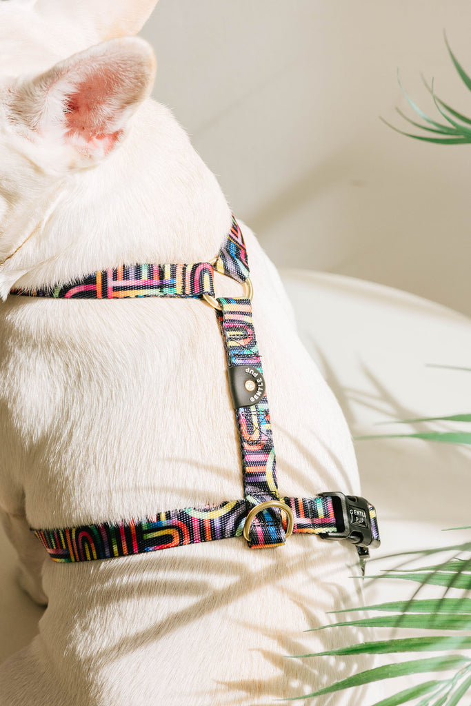 Maxi Harness - Rainbow Maze