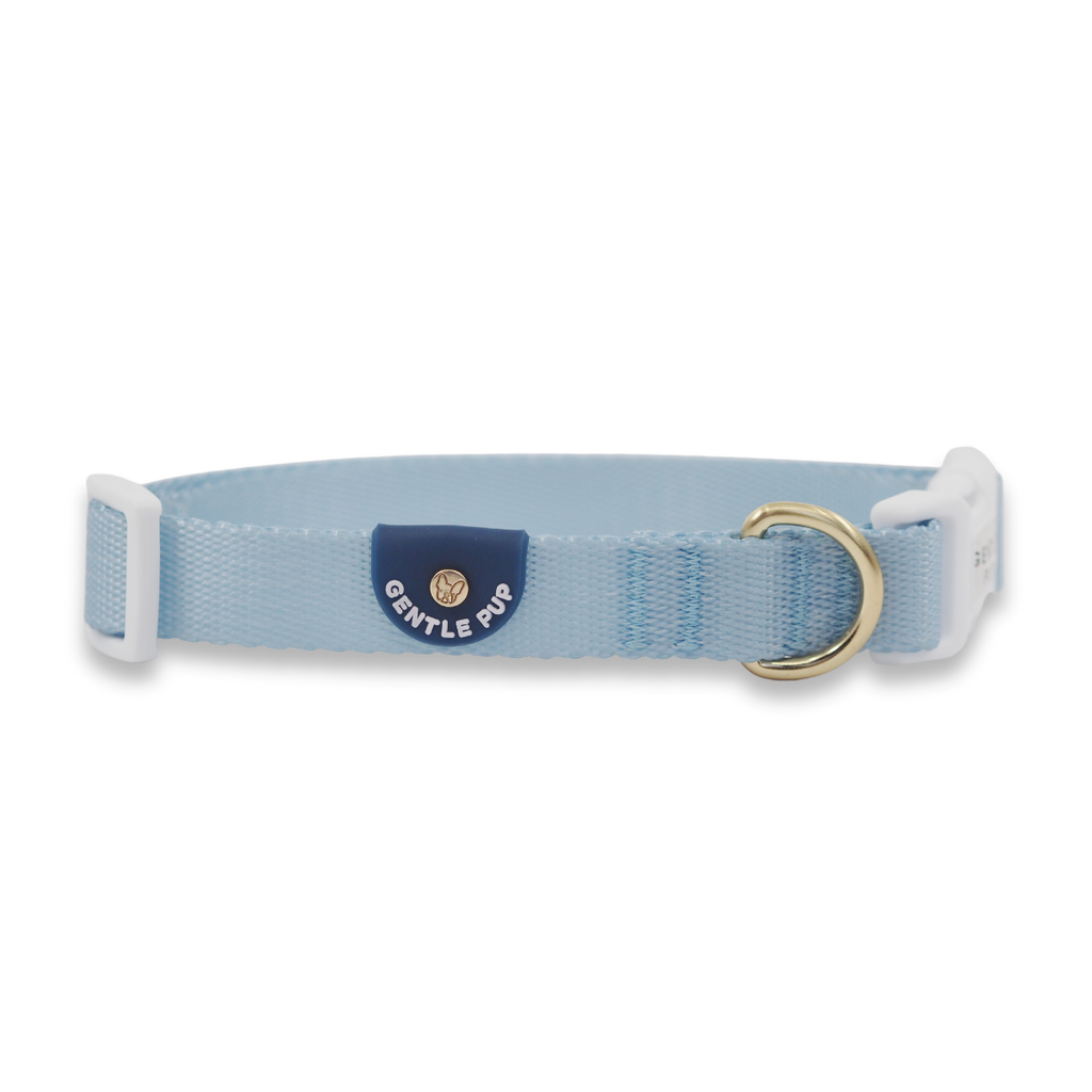 Collar - Cornflower
