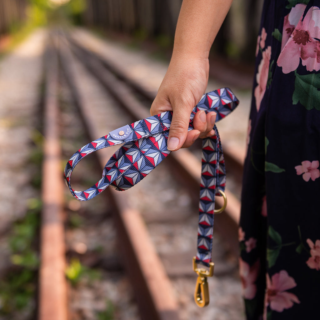 Leash - Dashing Diamond