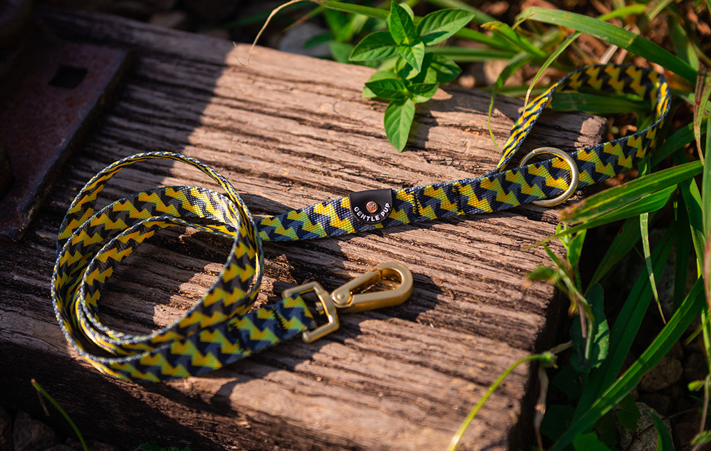 Leash - Zippy Zag