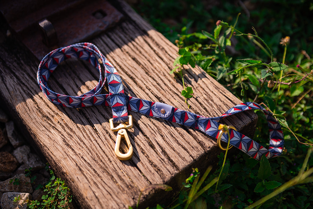 Leash - Dashing Diamond