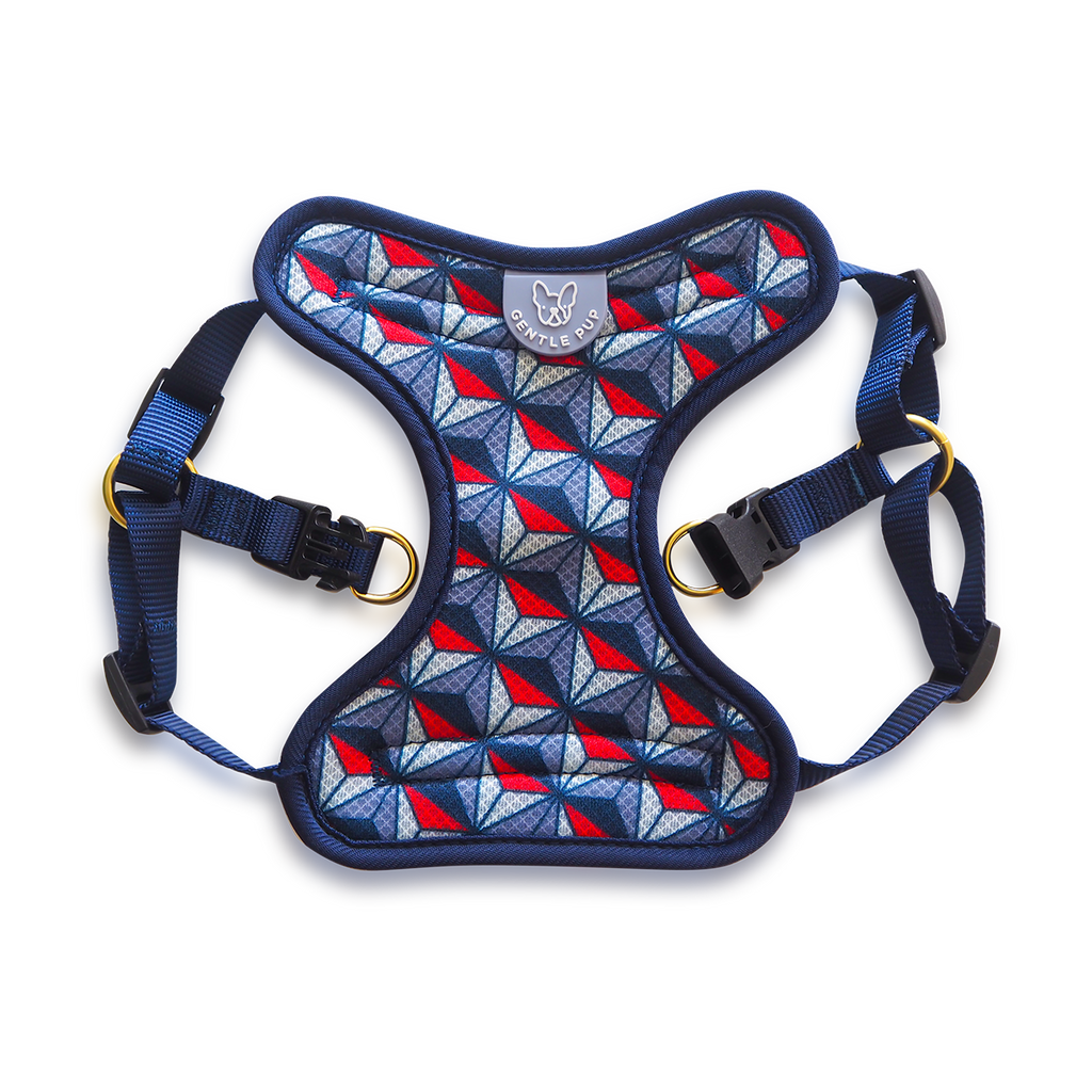 Easy Harness - Dashing Diamond