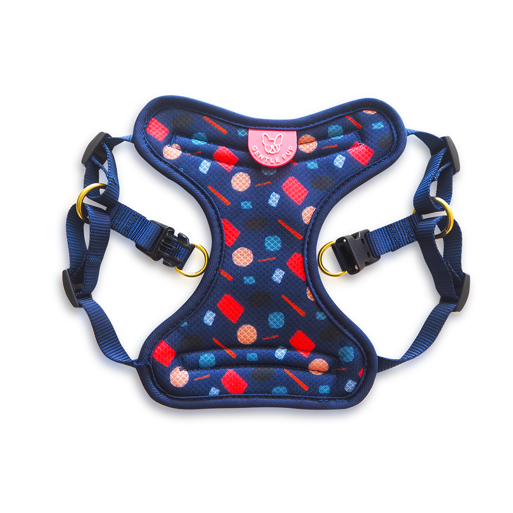 Easy Harness - Playful Polly