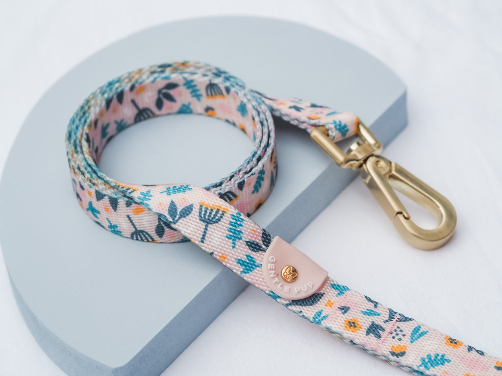 Leash - Scandi Spring