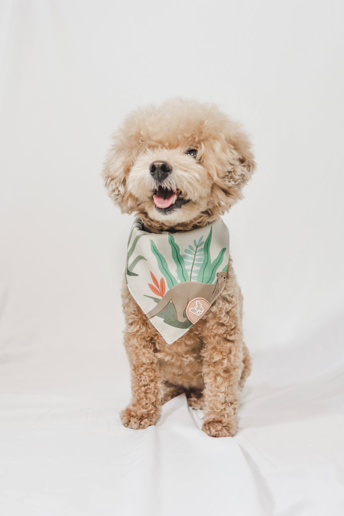 Em+Co x Gentle Pup Bandana - Otterly In Love