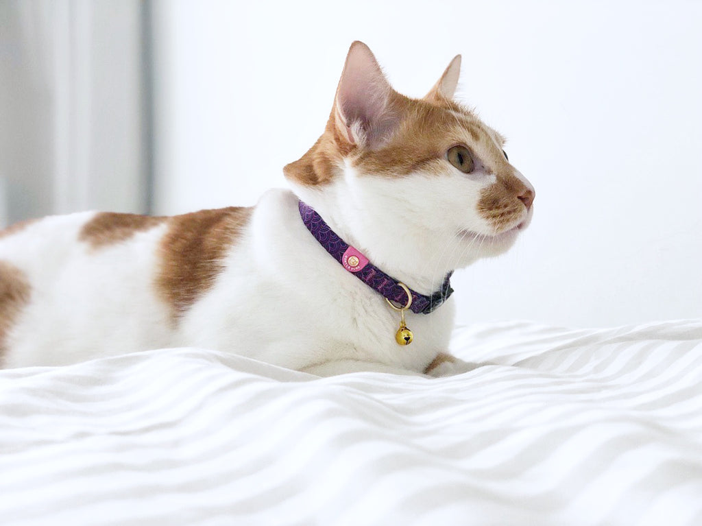 Cat Collar - Piper Pink