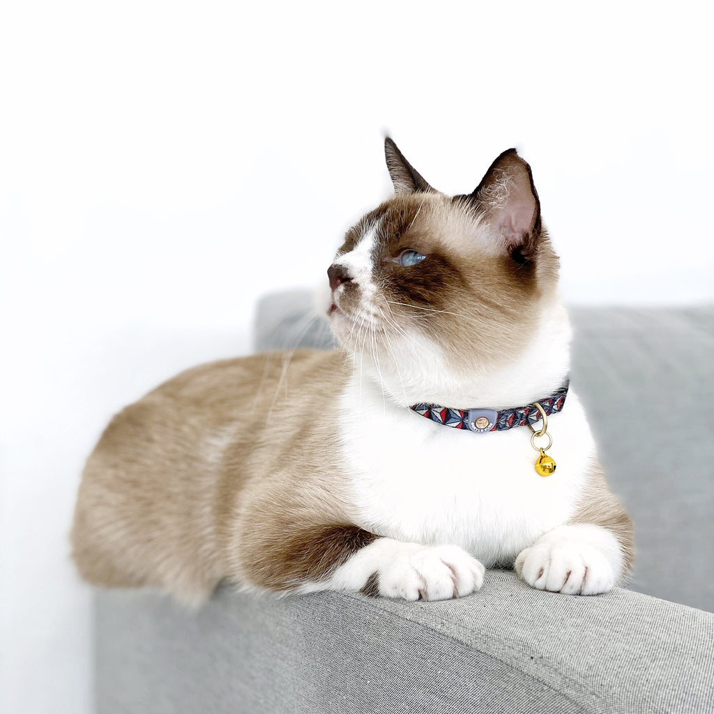 Cat Collar - Dashing Diamond