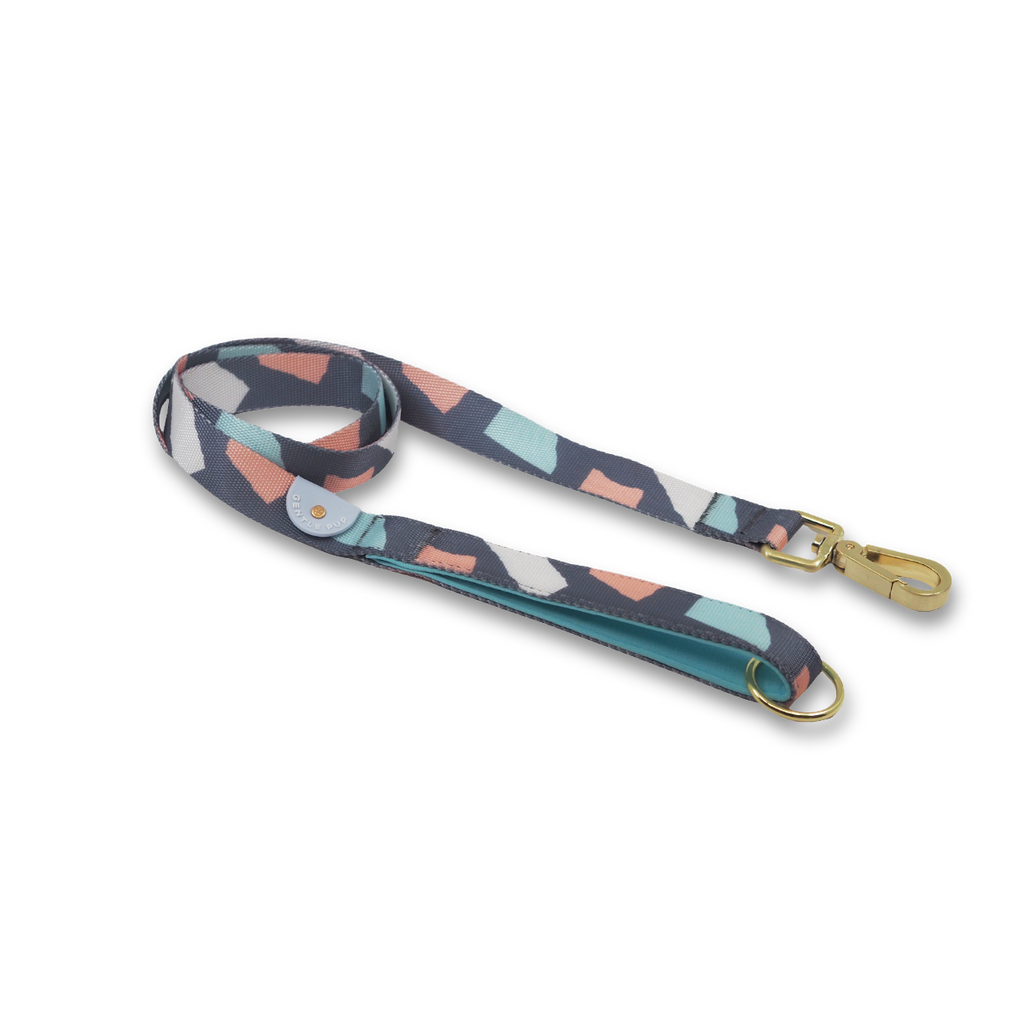 Leash - Ollie Oliver
