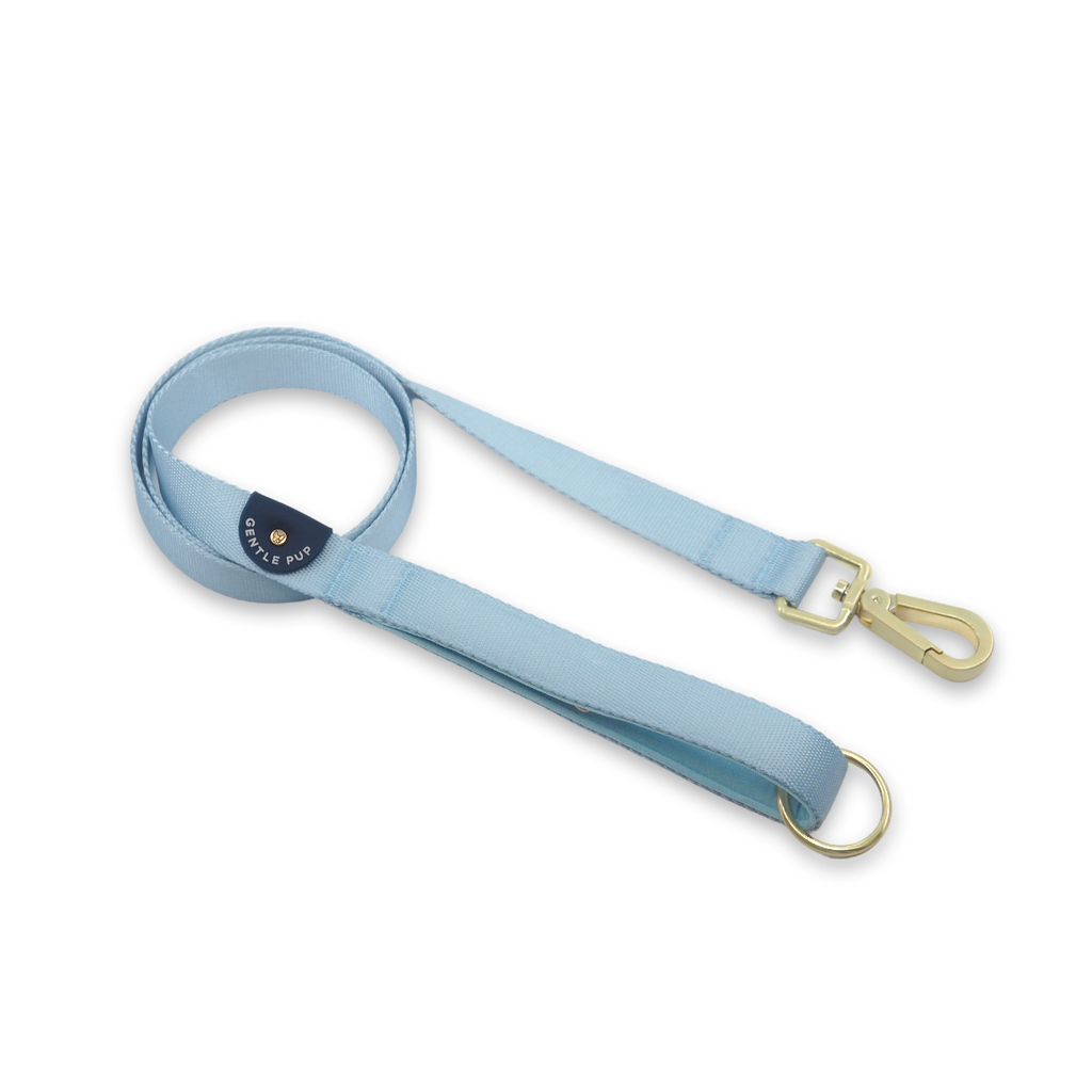 Leash - Cornflower