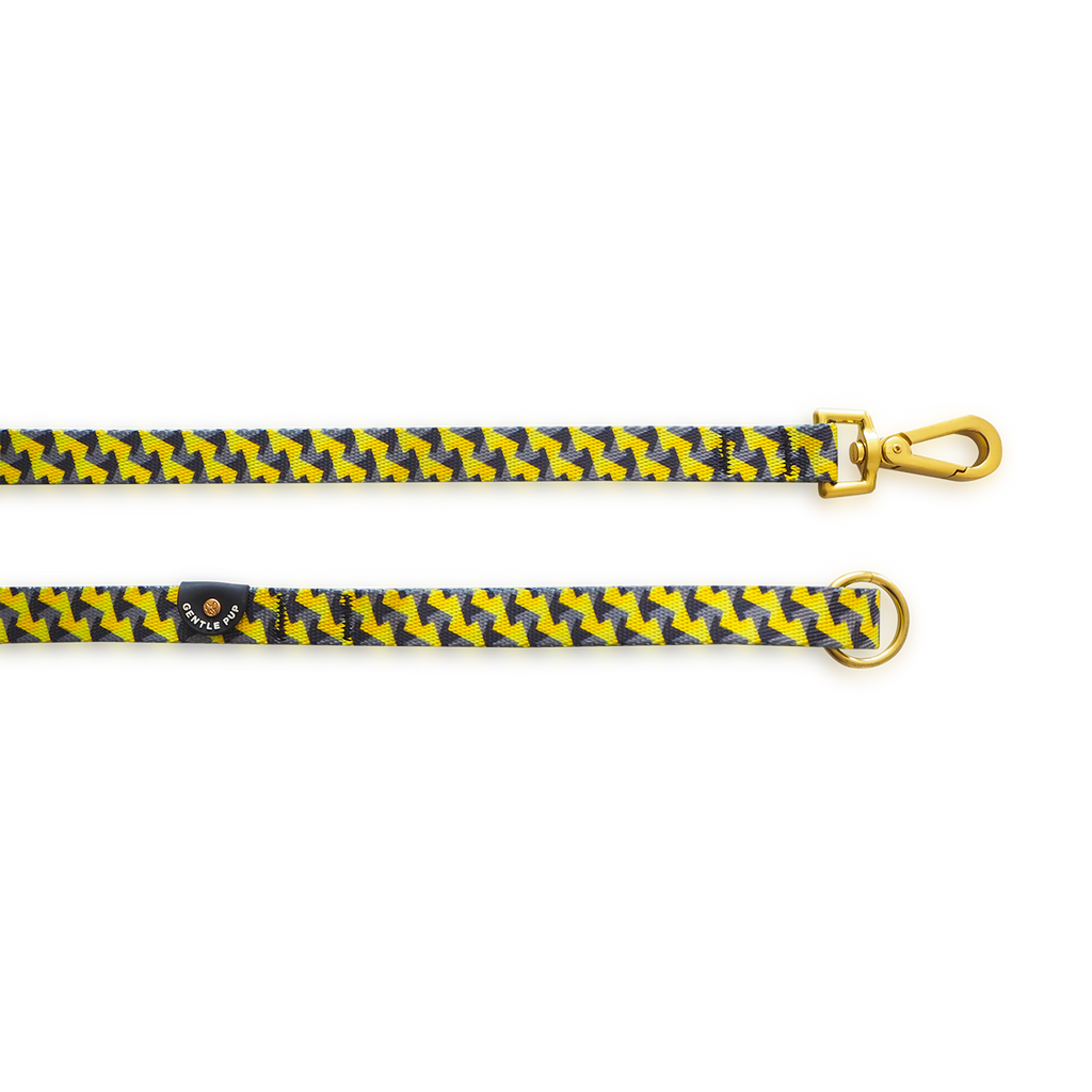 Leash - Zippy Zag
