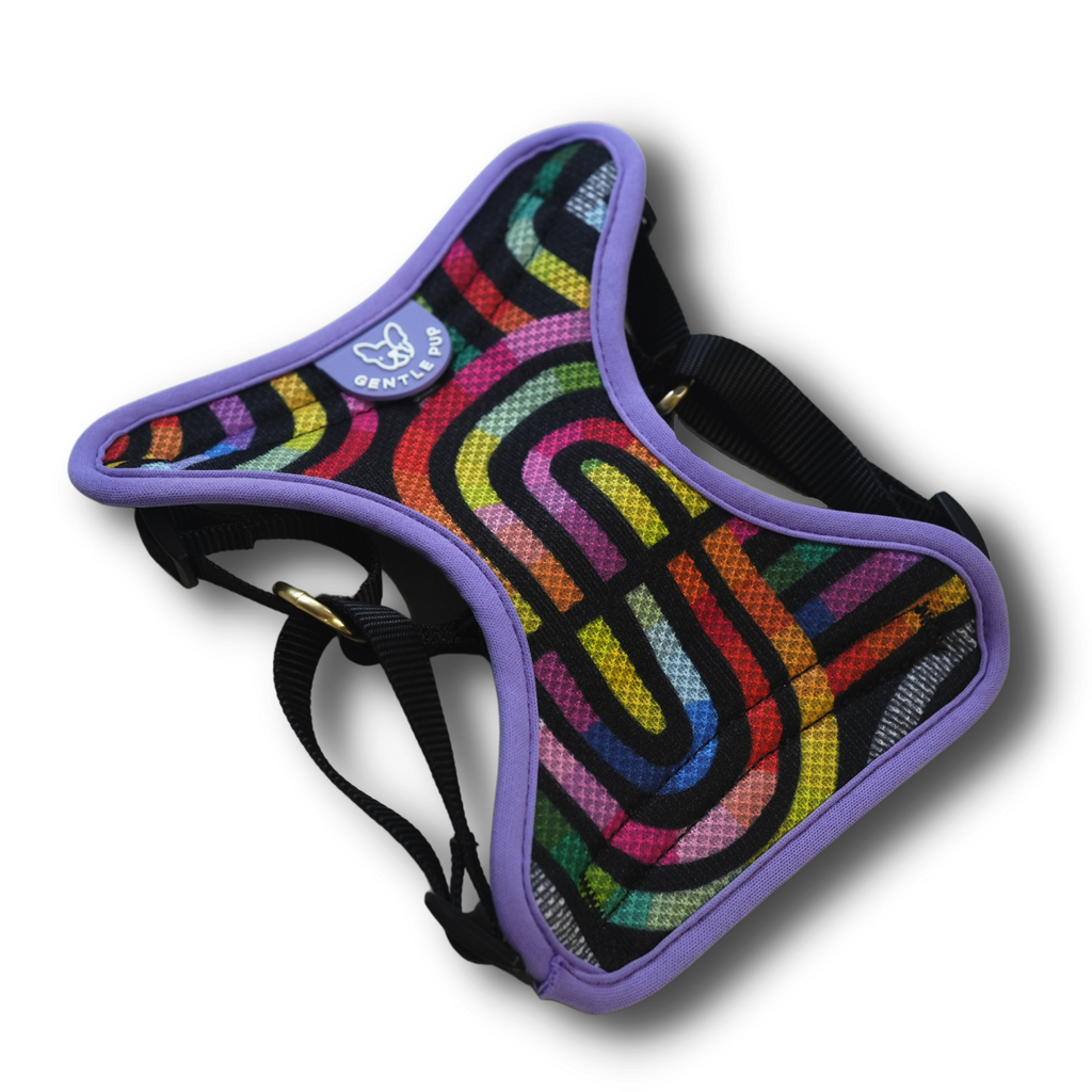 Easy Harness - Rainbow Maze