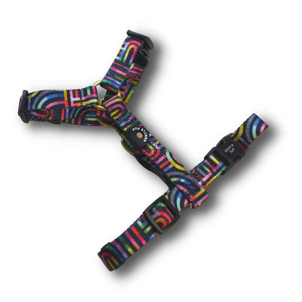 Maxi Harness - Rainbow Maze
